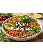 VEGAN & ORGANIC DISHES